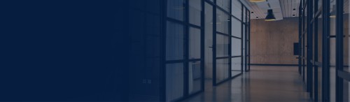 Product Title